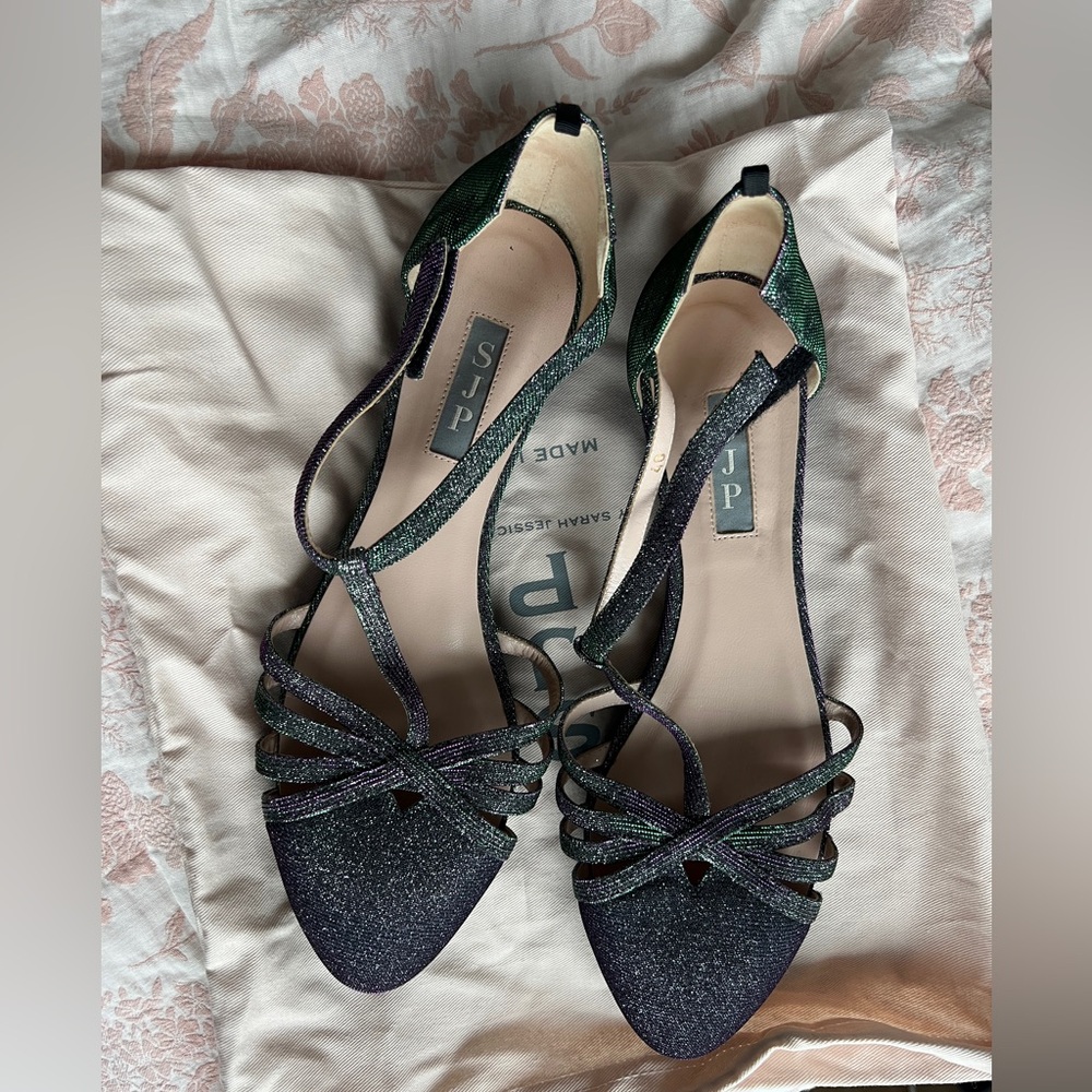 Beautiful Meteor chameleon SJP flats